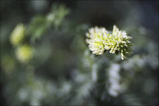 2015.02.08_botanischer_garten_01.jpg