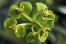 2015.02.08_botanischer_garten_02.jpg