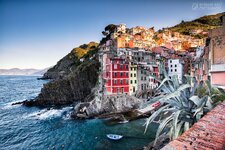 AUST3094.jpg AUST3094.jpg