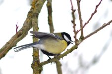 DSC_0373_00040492.JPG