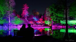 1000_IMG_0022_ps.jpg