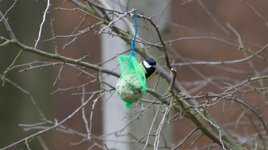 IMG_1888.jpg