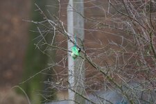IMG_1888 (1).jpg