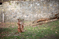 5D3_26209.jpg