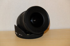 DSCF0519.jpg