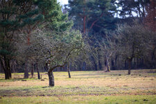 5D3_27045.jpg