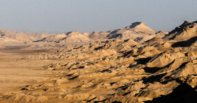 IMG_1974-1-4.jpg