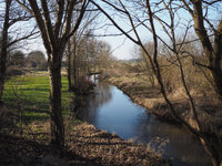 19. Februar 2015-P2192670.jpg