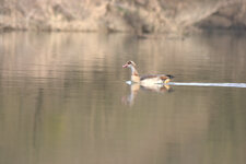 300mm bei f6.3.jpg