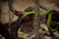 TropenaquariumHH_2013-04-10_171-web.jpg