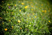 IMG_3803 (1).jpg