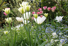 IMG_1201_web.jpg