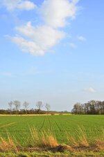 DSC_0466.jpg