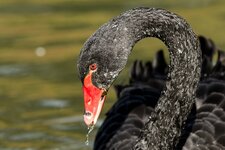 compIMG_4355.jpg