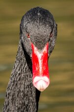 compIMG_4357.jpg