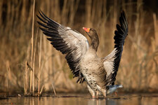 _Q5A7813.jpg _Q5A7813.jpg