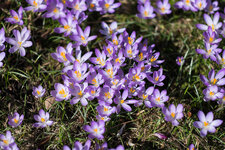 20150308-DSCF5245.jpg