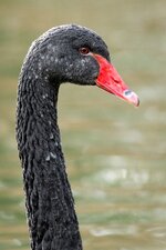 compIMG_4161.jpg