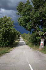 _MG_1528 (2)-2-2.jpg