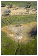 Okavangodelta12.jpg