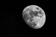 compIMG_4755.jpg
