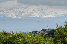 DSC_0472-2b.jpg