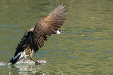compIMG_3717.jpg