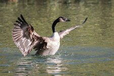 compIMG_3846.jpg