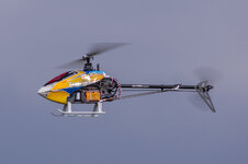 DSC09415-1.JPG