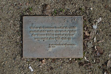P40 02.jpg