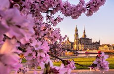 AUST2691.jpg AUST2691.jpg