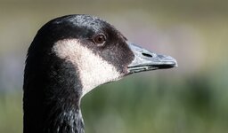 compIMG_5652.jpg