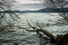 comp_DSC00395-2.jpg