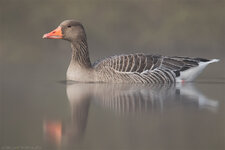 _Q5A7752.jpg _Q5A7752.jpg