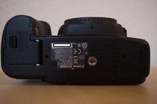DSCF4178.jpg