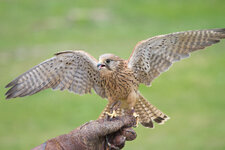 IMG_1580_web.jpg