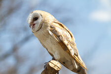 IMG_1457_web.jpg