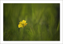 24.April 2013_01_klein.JPG