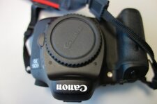 canon7d4.jpeg