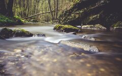 comp_mfIMG_9923_nb2.jpg comp_mfIMG_9923_nb2.jpg