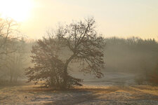 IMG_1308-1.jpg