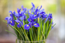130427-3631B.jpg