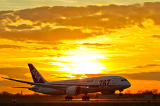 ANA787Sunset.jpg