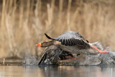 _Q5A0614.jpg _Q5A0614.jpg