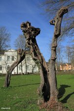 IMG_9080.jpg