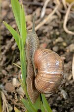 comp_DSC_9691.jpg