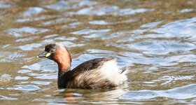 IMGL4279 (29 von 1).jpg