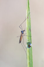 20150414-IMG_3573-b.jpg