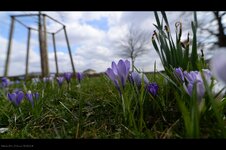 DSC_0718.jpg