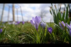 DSC_0719.jpg